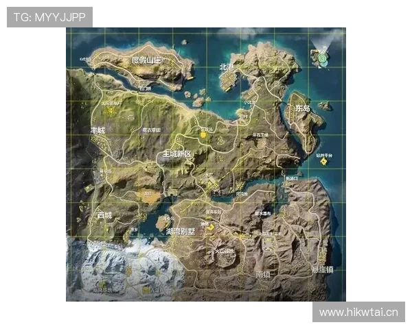 佩德里大赛关键战稳定性与战术角色解析 佩德里大赛关键战稳定性与战术角色解析