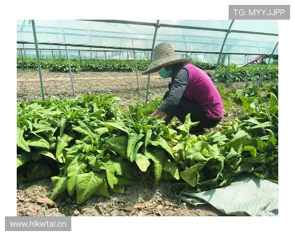 廖秋云训练完顺手拎走两袋米，这饭量谁顶得住